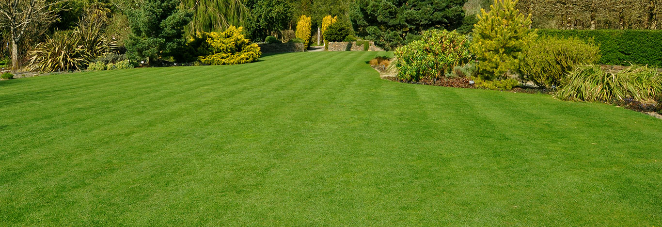 The Turfgrass Growers Association – The Turfgrass Growers Association